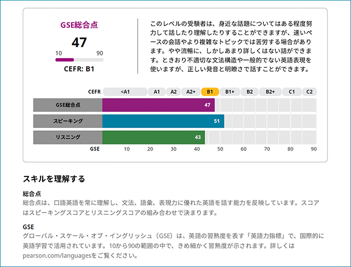 スコアレポートサンプル